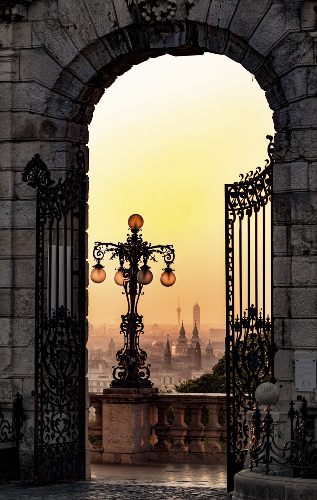 Platz 8 Christoph Frank